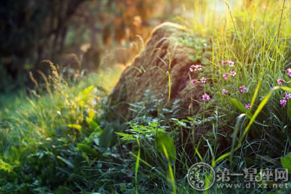 4月15日生日性格解析