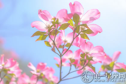 4月24日生日性格解析