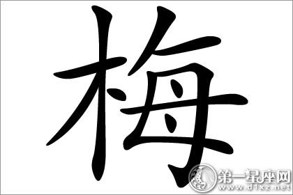 傲骨的代表字 梅字五行屬什麼?