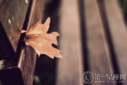 8月5号属狗出生日的命运
