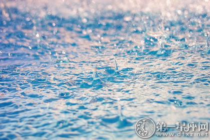 9月4号属狗出生日的命运