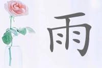 这么多道理？带雨字明星名字分析