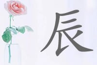 眼花缭乱！带辰字明星名字分析