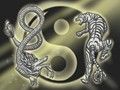 布依族的祖先是谁,你知道吗?