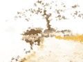 2018年世界艾滋病日主题是什么
