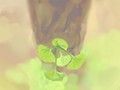二人台的特点介绍，二人台有什么特点