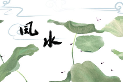 家居風水 花草盆栽擺放注意事項-第一命理網-八字算命，居家風水，感情複合皆可在這找到答案