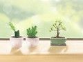 2019年属牛什么运最好