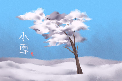 2019年小雪是几月几日