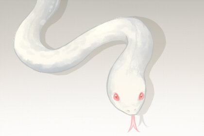 女人梦见白色蛇