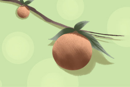 梦见桃子树上有很多桃子还摘着吃是什么意思