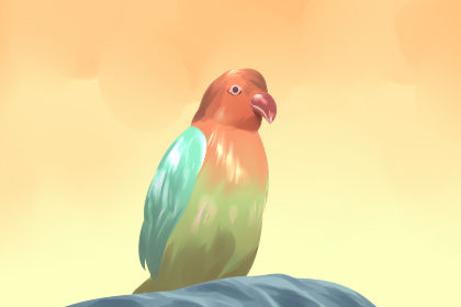 孕妇梦见彩色大鹦鹉是什么意思 好不好