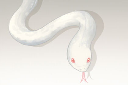 做梦梦到一条白蛇跟一条花蛇预示着什么意思