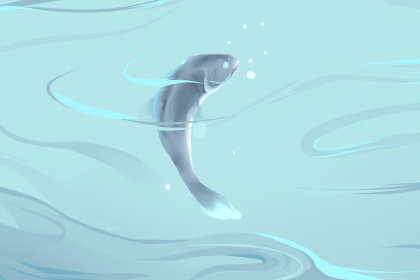 梦到巨大鲸鱼跃出水面吃人