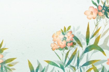 測試你的下一個相親對象是外貌協會嗎-第一命理網-八字算命，居家風水，感情複合皆可在這找到答案
