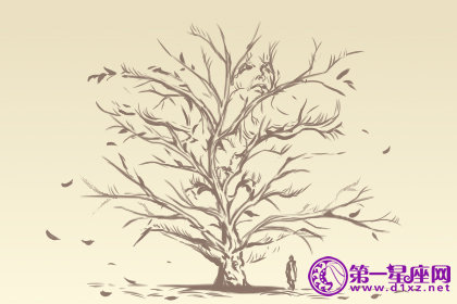 趣味测试