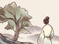 八字看哪些男人容易娶到女神