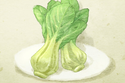 梦见绿色的小白菜有什么含义