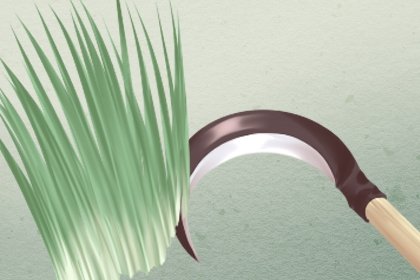 梦见一把韭菜是什么意思