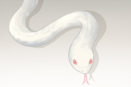 孕晚期梦见蛇是快生了吗