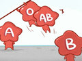 血型遗传规律表 a血型和b血型的孩子是什么血型