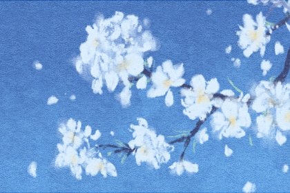 桃花運(yùn)測(cè)試