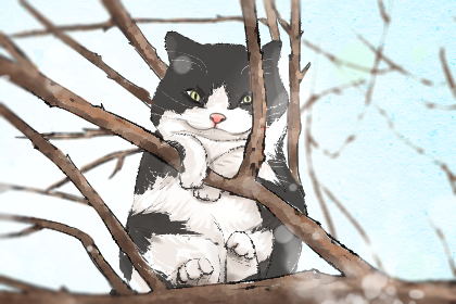 日系猫咪名字有哪些 可爱顺口的猫名字