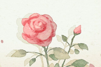 梦见粉色玫瑰花有什么征兆