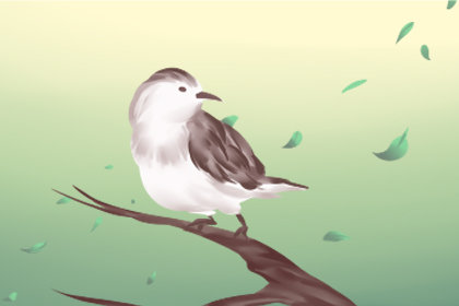 梦见小鸟从蛋壳里出来有什么征兆