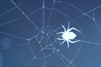 梦见蜘蛛网缠身是啥意思