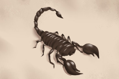 梦到蝎子爬自己身上是什么意思