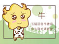 属牛做什么生意最旺 建材装修店