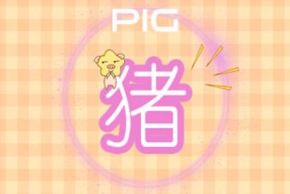 屬豬人一輩子的剋星是誰-第一命理網-八字算命，居家風水，感情複合皆可在這找到答案
