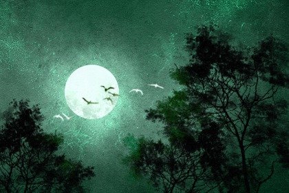 紫微斗數上等命格有哪些 六吉星落于命宮