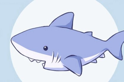 鲨鱼1
