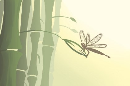 辦公室擺什麼植物催旺事業-第一命理網-八字算命，居家風水，感情複合皆可在這找到答案