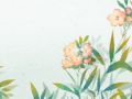 免费测命工作方向 最佳八字发展