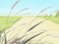 女命八字无官星怎么看丈夫 与丈夫缘浅