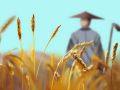 八字怎么看配偶出轨外遇信息