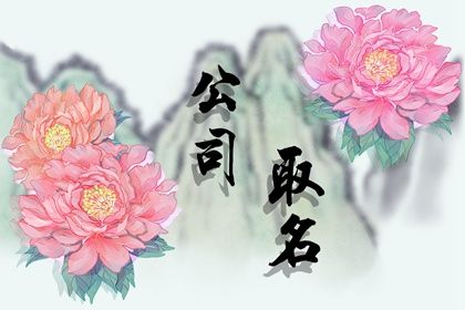 两个字公司名称大全简单大气,公司五行起名