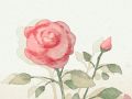 八字身强身弱查询软件 身强衣食无忧