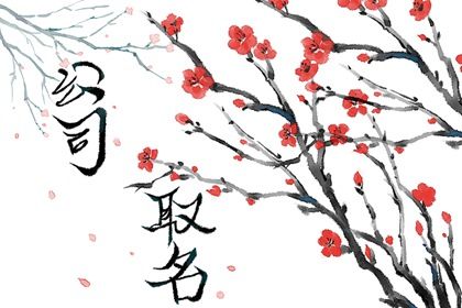 高端大气寓意美好的公司名字大全公司名怎么取 取名网 高端大气寓意美好的公司名字大全公司名怎么取 取名网