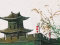 注定是夫妻的八字特点 印多女命