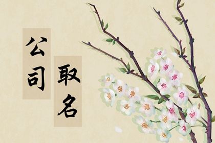 有创意的网络公司名字