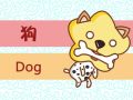 属狗2021年运势及运程女性