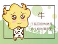 1985属牛的上等婚配 最佳婚配