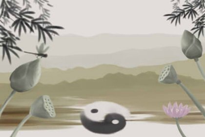 招財金蟾的正確擺放位置及相關禁忌-第一命理網-八字算命，居家風水，感情複合皆可在這找到答案