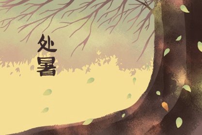 桑松木命適合開什么顏色的車