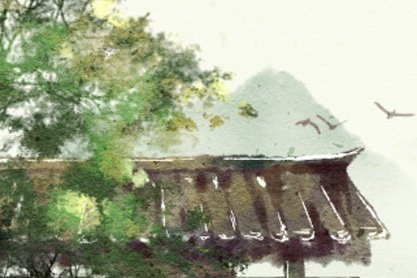 桑松木命適合什么名字 五行屬什么