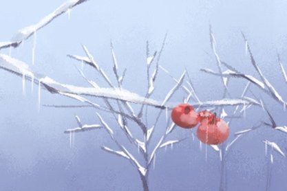 桑松木命適合養(yǎng)魚嗎 適合養(yǎng)什么動物